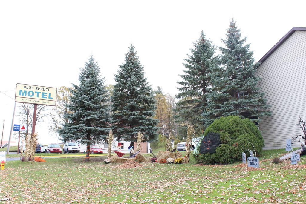 Blue Spruce Motel Massena Exteriör bild